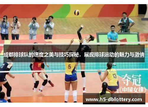 成都排球队的速度之美与技巧探秘，展现排球运动的魅力与激情
