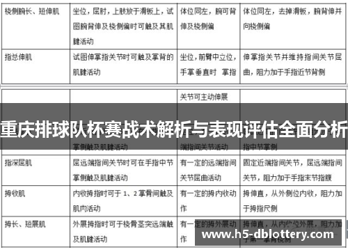 重庆排球队杯赛战术解析与表现评估全面分析